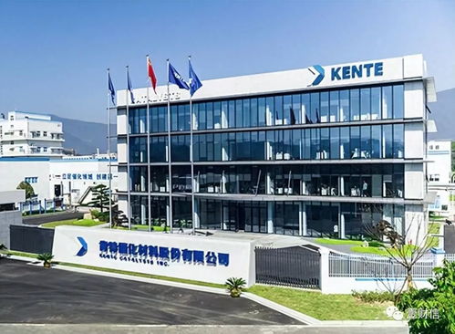 肯特催化戰略失衡 重銷售管理輕研發，技術開發人員薪酬雙標引關注